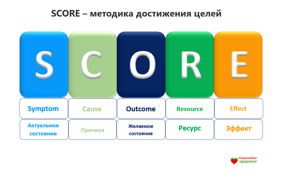 SCORE - модель сбора информации